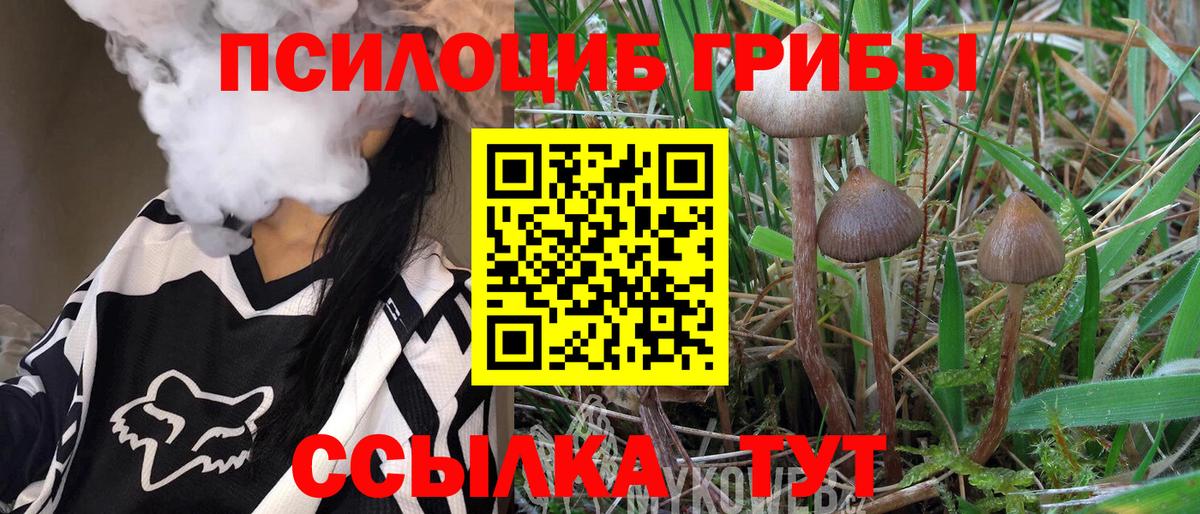 Джанкой  Галлюциногенные грибы Magic Shrooms  Вход с VPN 