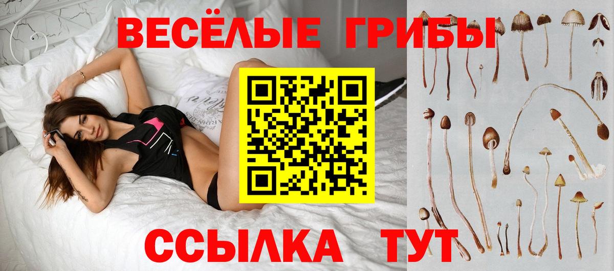 Галлюциногенные грибы Psilocybe Джанкой